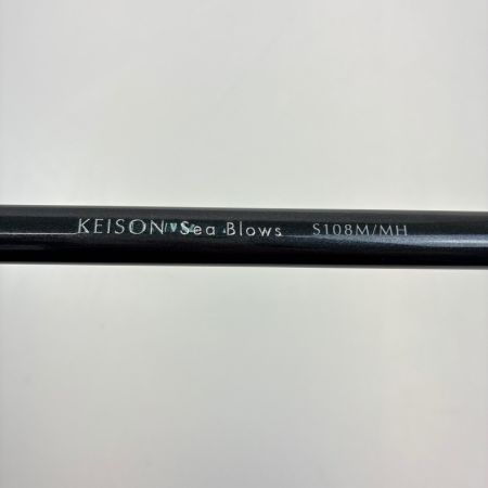 tailwalk テイルウォーク ロッド　KEISON Sea Blows　S108M/MH 174199