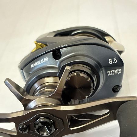 DAIWA ダイワ リール　TEEZ AII TW 1000XHL(スティーズA2TW)  00613387