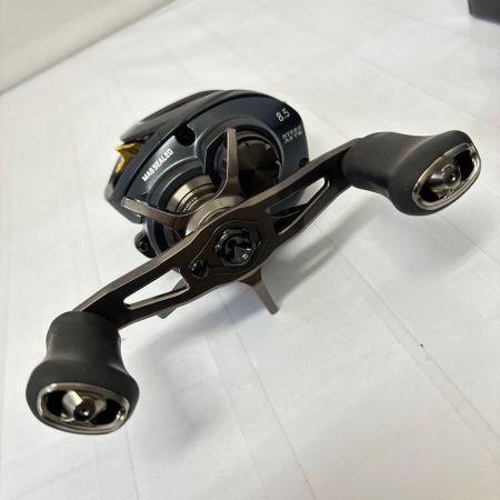 DAIWA ダイワ リール　TEEZ AII TW 1000XHL(スティーズA2TW)  00613387