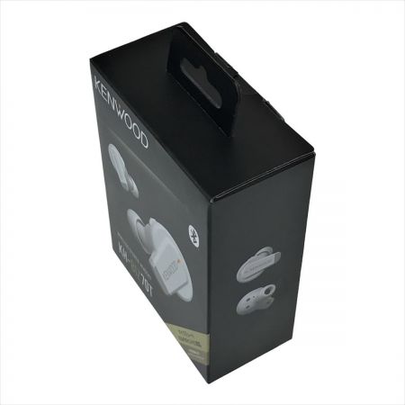  KENWOOD ケンウッド ワイヤレスイヤホン KH-BIZ70T ホワイト