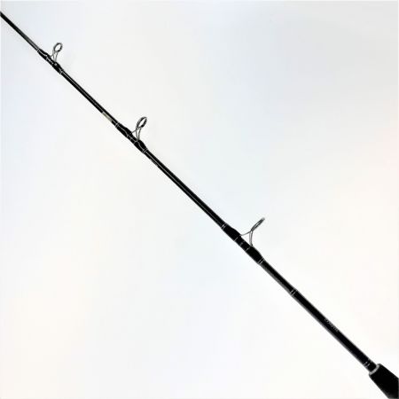  DAIWA ダイワ 01ソルティガ コースタル SG HIRAMASA 54B