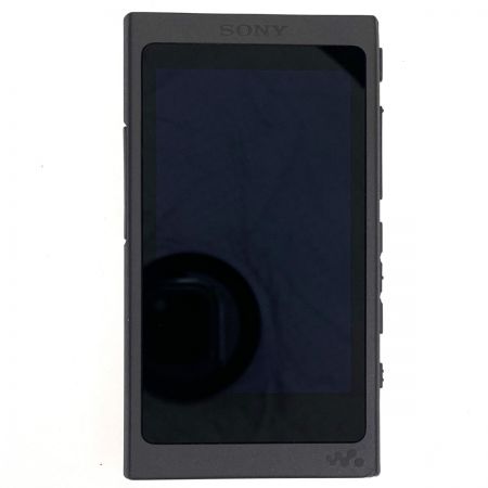  SONY ソニー ウォークマン NW-A45 Aシリーズ 16GB 本体のみ 動作確認済 USBケーブル欠品 