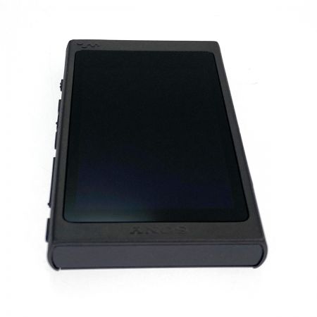  SONY ソニー ウォークマン NW-A45 Aシリーズ 16GB 本体のみ 動作確認済 USBケーブル欠品 