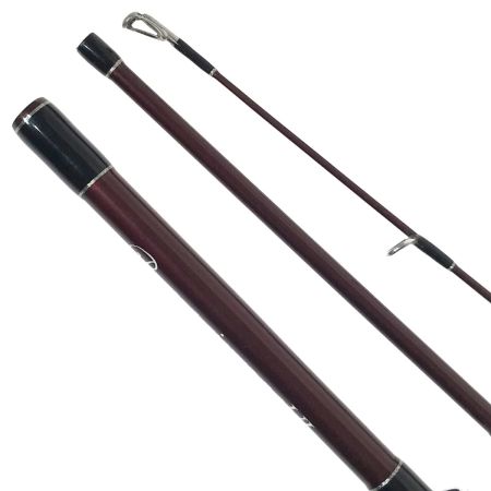  Fishman フィッシュマン Beams sierra 5.2UL