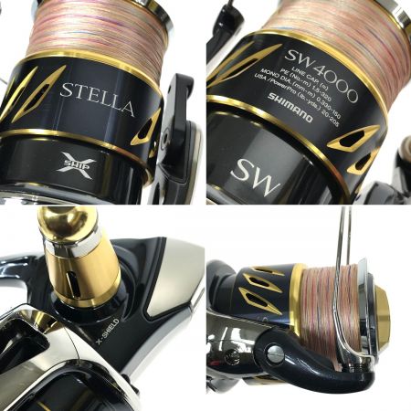  SHIMANO シマノ 13ｽﾃﾗ SW4000XG