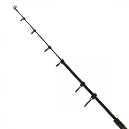 tailwalk テイルウォーク ケイソンセカンドラン 110H-T 「銀聖