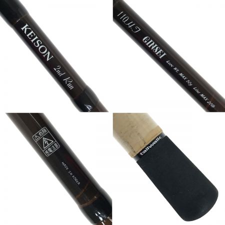  tailwalk テイルウォーク ケイソンセカンドラン 110H-T 「銀聖」　振り出し竿