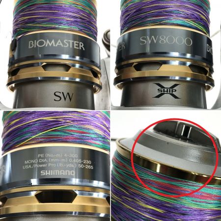  SHIMANO シマノ 13バイオマスター SW8000HG SW8000