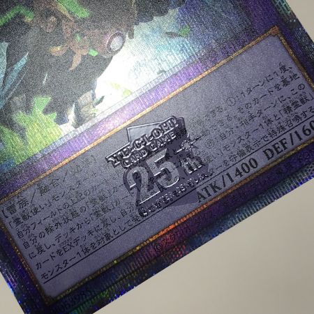   遊戯王 トレカ 聖霊獣騎カンナホーク TW01-JP138 25thシークレット
