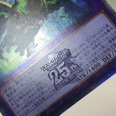   遊戯王 トレカ 聖霊獣騎カンナホーク TW01-JP138 クォーターセンチュリーシークレット