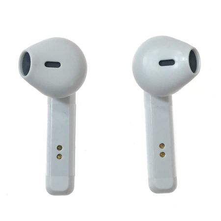   雪ミク 2024 コラボフェア ワイヤレスイヤホン 北海道限定