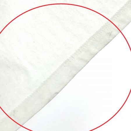  MAMMUT マムート ネイション Tシャツ Women ホワイト Lサイズ(アジアサイズXL)