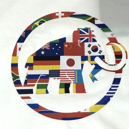  MAMMUT マムート ネイション Tシャツ Women ホワイト Mサイズ(アジアサイズL)