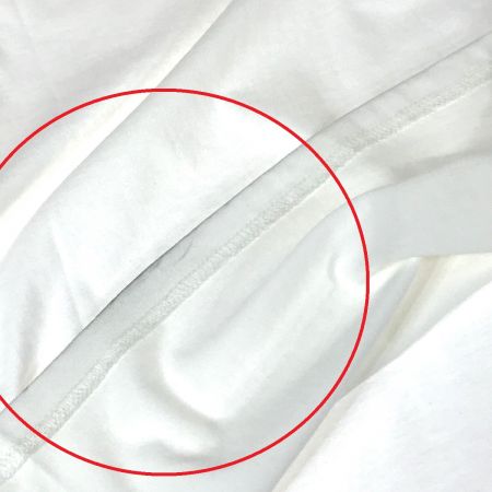  MAMMUT マムート ネイション Tシャツ Women ホワイト Mサイズ(アジアサイズL)