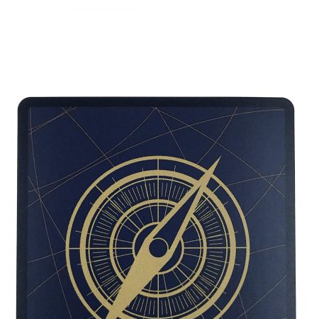   ワンピースカード ポートガス・D・エース ST13-011 パラレル SR