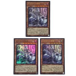 ##  遊戯王 迷宮城の白銀姫 ウルトラレア DABL-JP030 3枚セット トレカ (2) Bランク