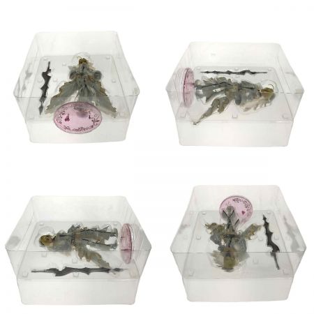  FLARE Fate/Grand Order セイバー/ネロ・クラウディウス[ブライド] 開封済