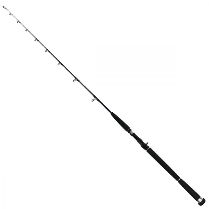 DAIWA ダイワ ソルティガ コースタル SG HIRAMASA 60B 01471326｜中古｜なんでもリサイクルビッグバン