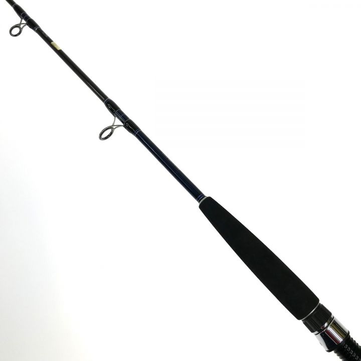 DAIWA ダイワ ソルティガ コースタル SG HIRAMASA 60B 01471326｜中古｜なんでもリサイクルビッグバン