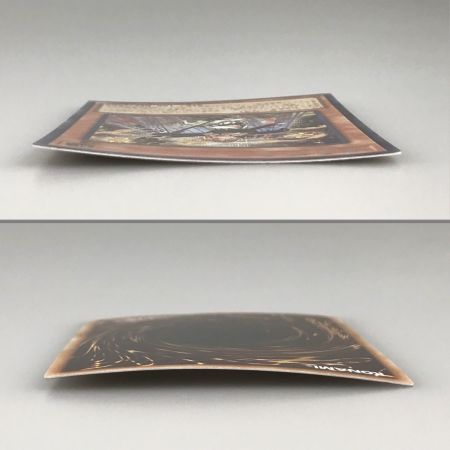   遊戯王 精霊獣使いレラ TW01-JP122 シークレットパラレル トレカ