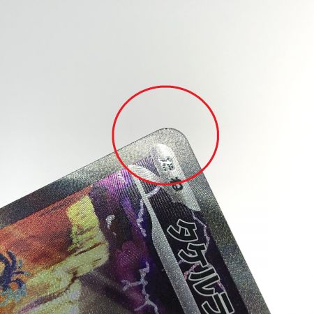   ポケモンカード タケルライコex 095/071 SAR SV5K ポケカ