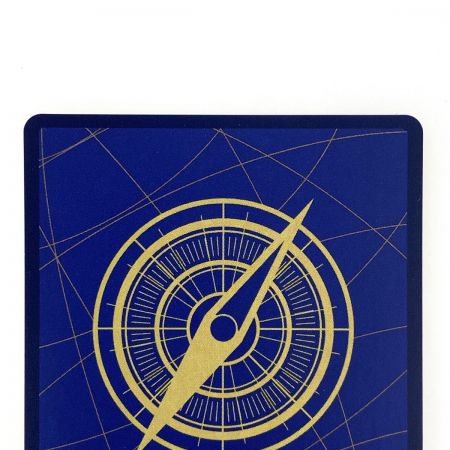   ワンピースカード ポートガス・D・エース SEC パラレル OP07-119 トレカ