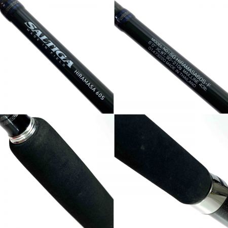  DAIWA ダイワ SALTIGA ソルティガ SG-HIRAMASA60S.F