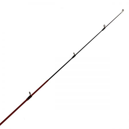  PALMS パームス Ereria エゲリア ネイティブ ERNS-56L/T5