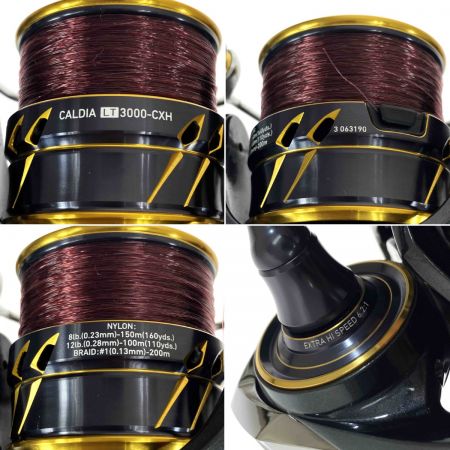  DAIWA ダイワ 21カルディア LT3000-CXH 063190 ゴメクサスリールスタンド付