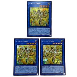 ##  遊戯王 オオヒメの御巫 DBAD-JP027 シークレットレア 3枚セット トレカ Bランク