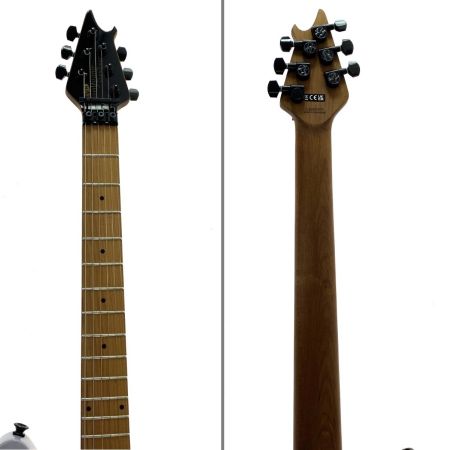  EVH Wolfgang WG Standard BKD MPL BATTLESHIP GRY エレキギター ソフトケース付