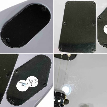  EVH Wolfgang WG Standard BKD MPL BATTLESHIP GRY エレキギター ソフトケース付