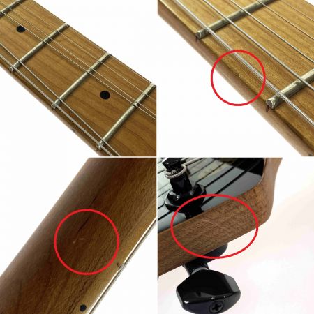  EVH Wolfgang WG Standard BKD MPL BATTLESHIP GRY エレキギター ソフトケース付