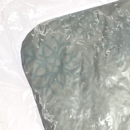   カプとれ×ホロライブ 雪花ラミィ クッション（衣装2） 未開封品