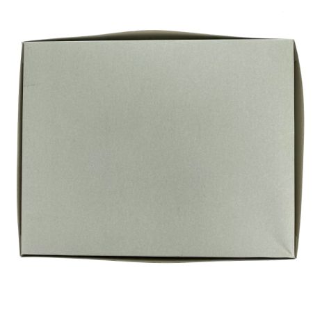  BANDAI バンダイ MG 1/100 ガンダムヘビーアームズ改 EW (ホビーオンラインショップ限定) 未組立 ガンプラ