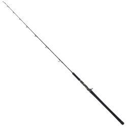 ## DAIWA ダイワ キャタリナ J60MB･E 01480415 ベイトモデル Bランク