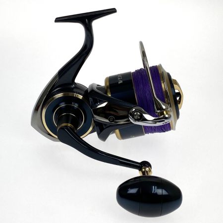  DAIWA ダイワ 20 ソルティガ 20000-H 00065009