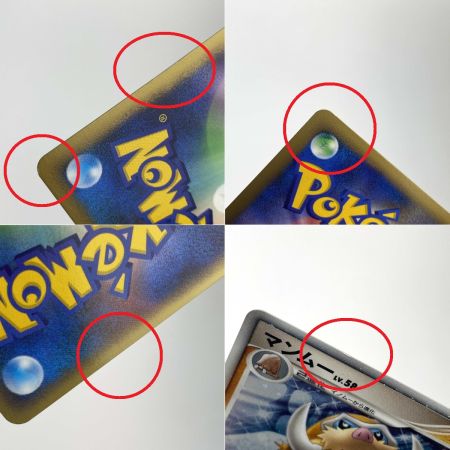   ポケモンカードゲームDP 映画公開記念 プレミアムシート2008 開封品