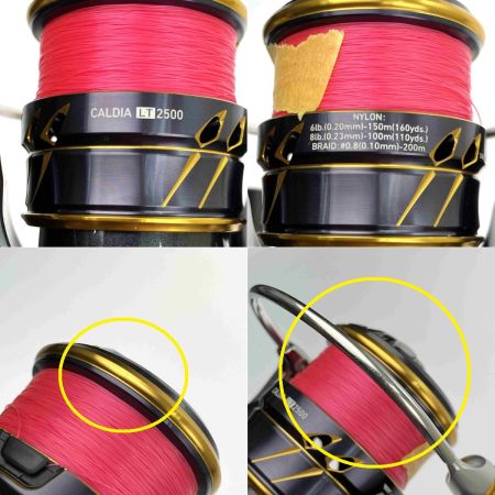  DAIWA ダイワ 21 カルディア LT2500 3063169