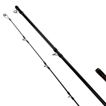  Fishman フィッシュマン Beams RIPLOUT9.0M+（ビームス リプラウト9.0M+）