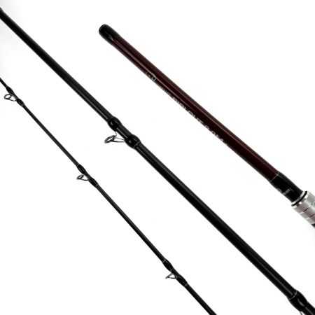  Fishman フィッシュマン Beams RIPLOUT9.0M+（ビームス リプラウト9.0M+）