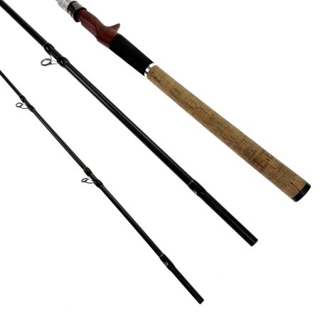  Fishman フィッシュマン Beams RIPLOUT9.0M+（ビームス リプラウト9.0M+）