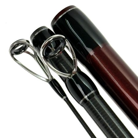  Fishman フィッシュマン Beams RIPLOUT9.0M+（ビームス リプラウト9.0M+）