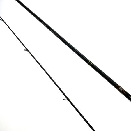  DAIWA ダイワ 21 モアザン ブランジーノ EX AGS 1010ML/M 05800105