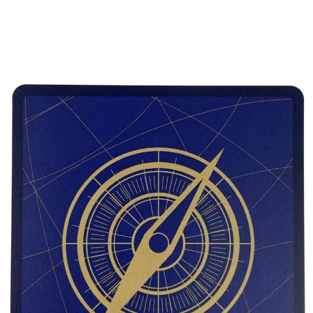   ワンピースカード ポートガス・D・エース SEC OP13-119 トレカ