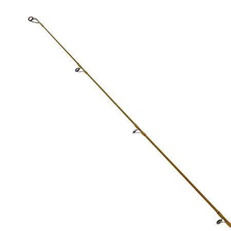  fenwick フェンウィック GFS 60C ML-J サンシャインデイドリーム ベイト