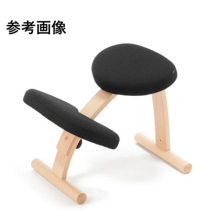  BALANS LAB バランスイージー 通常フレーム 147BN004 ブラック 未使用品