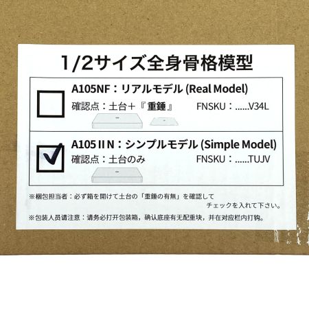  KIYOMARU 1/2サイズ全身骨格模型 A105 II N シンプルモデル 未使用品