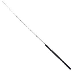 YAMAGA Blanks ヤマガブランクス Galahad ギャラハド 612B ベイトモデル Cランク