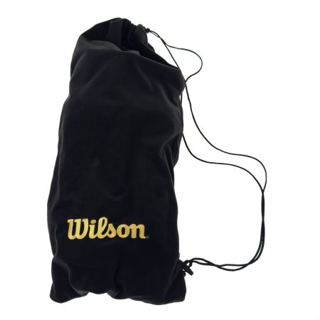  Wilson ウィルソン 野球審判用レッグガード WTAULG3NP 17 プロゴールドレッグガード